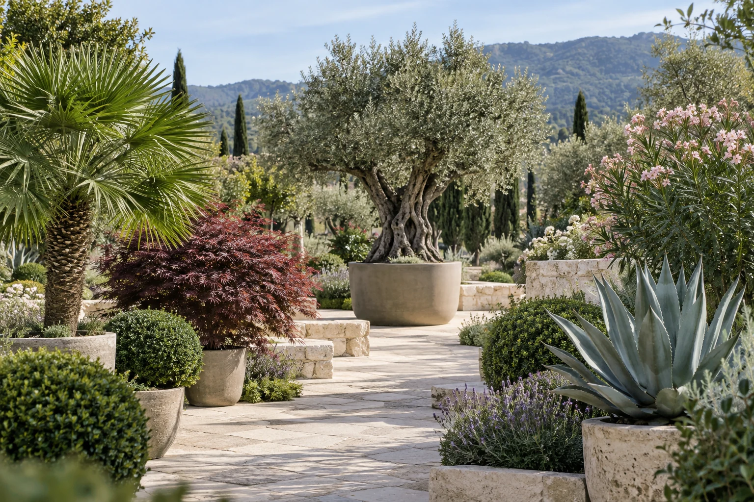 Temsili MK Garden bitki koleksiyonu